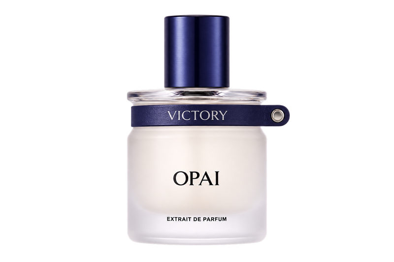 VICTORY